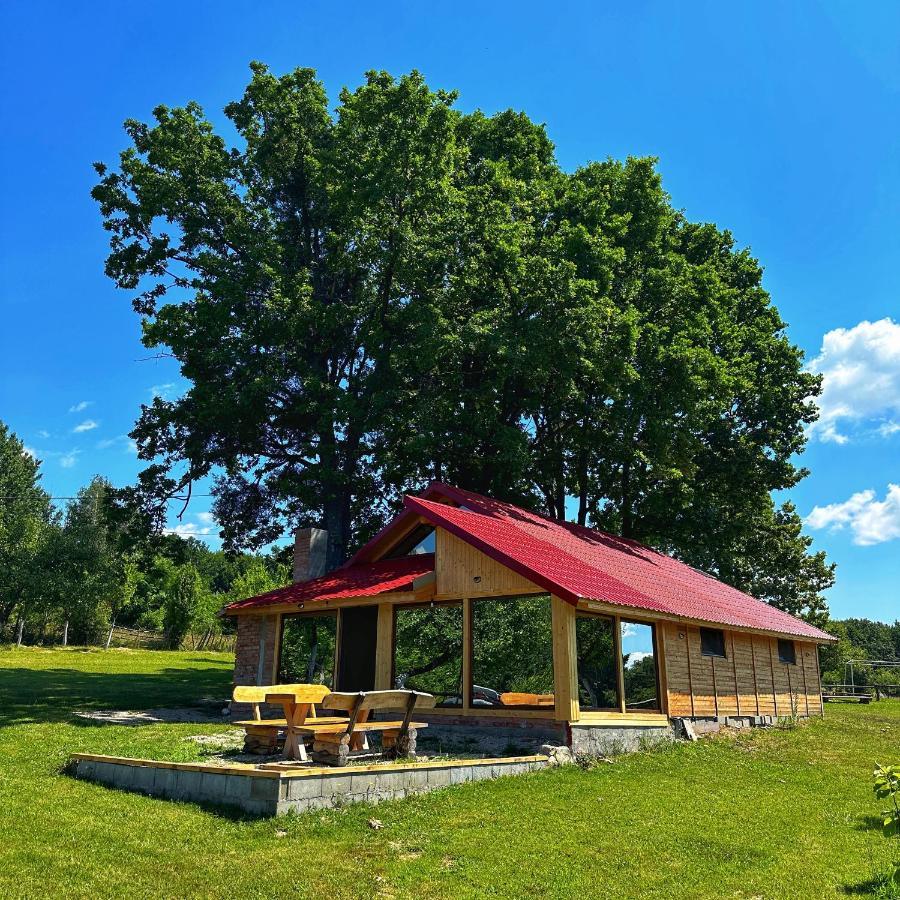 Casuta Din Stejari-Transalpina Villa Novaci-Straini Luaran gambar