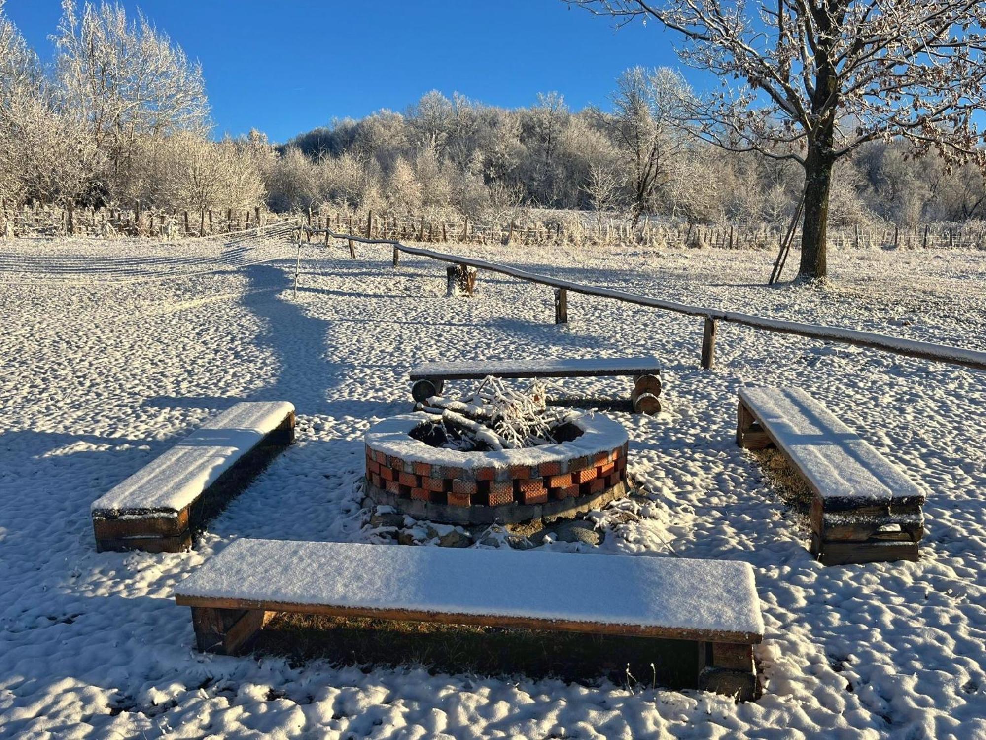 Casuta Din Stejari-Transalpina Villa Novaci-Straini Luaran gambar